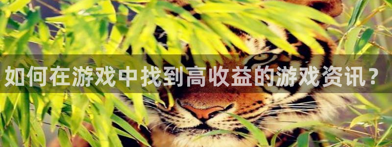 优贝娱乐下载链接：如何在游戏中找到高收益的游戏资讯？