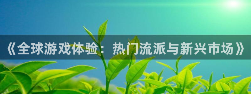 优贝娱乐网址官网：《全球游戏体验：热门流派与新兴市场》