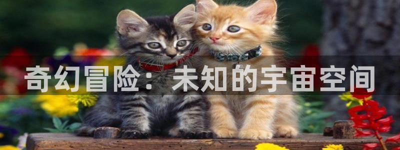 优贝娱乐4开户：奇幻冒险：未知的宇宙空间