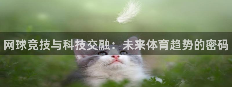 优贝娱乐平台官网客服电话：网球竞技与科技交融：未来体育趋势的