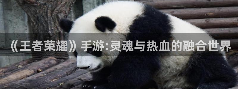 优贝娱乐在线登录：《王者荣耀》手游:灵魂与热血的融合世界