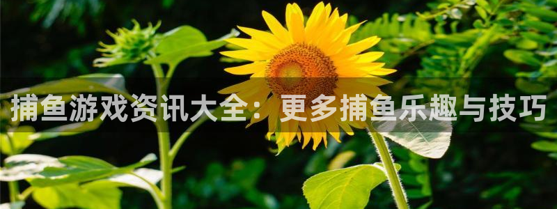 优贝娱乐网页登录入口下载：捕鱼游戏资讯大全：更多捕鱼乐趣与技