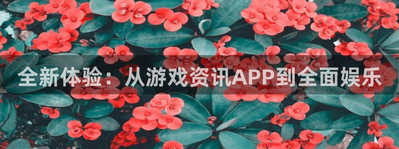 优贝娱乐登录：全新体验：从游戏资讯APP到全面娱乐