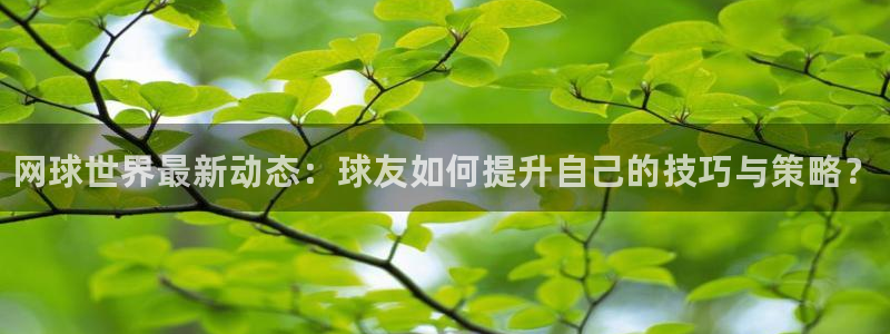 优贝娱乐登陆测速：网球世界最新动态：球友如何提升自己的技巧与