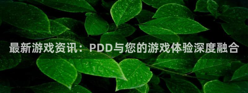 优贝娱乐平台登录线路：最新游戏资讯：PDD与您的游戏体验深度