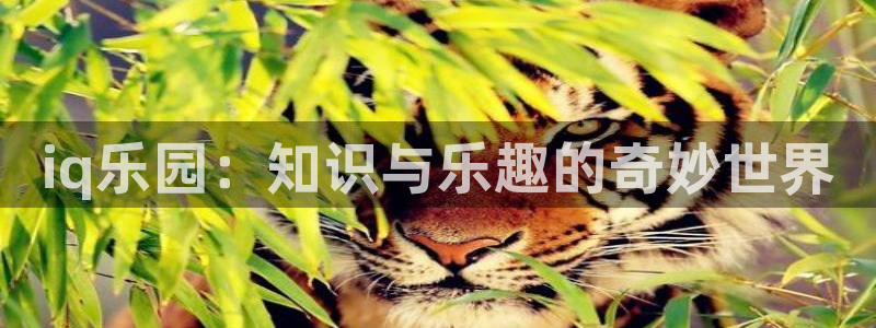 优贝娱乐代理登陆：iq乐园：知识与乐趣的奇妙世界