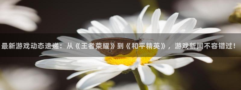 优贝娱乐登陆网址：最新游戏动态速递：从《王者荣耀》到《和平精