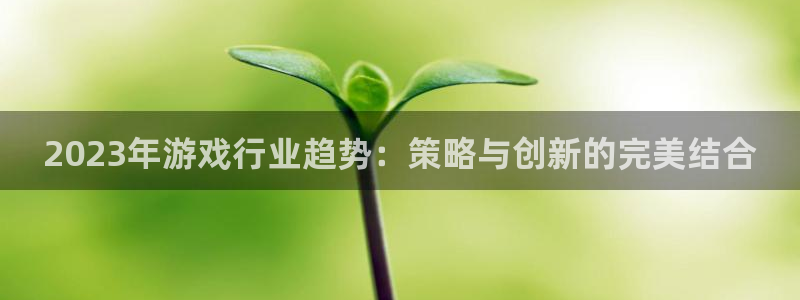 优贝娱乐游戏品牌一览表和游戏风格有关吗：2023年游戏行业趋