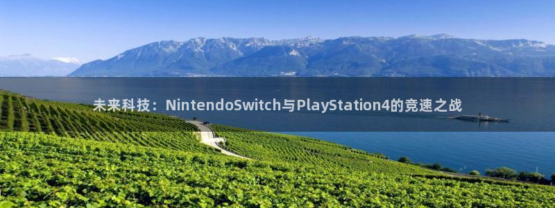 优贝娱乐注册账号：未来科技：NintendoSwitch与P