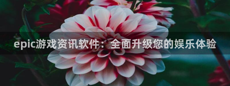 优贝娱乐平台官网入口：epic游戏资讯软件：全面升级您的娱乐