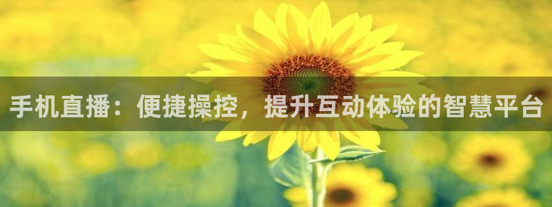 178直播体育在线观看：手机直播：便捷操控，提升互动体验的智慧平台