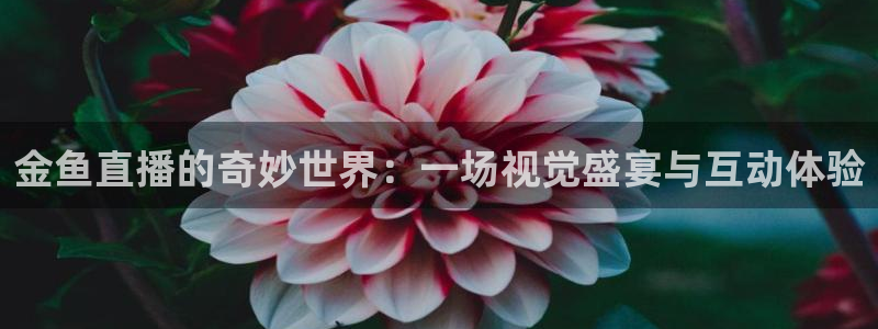 178足球免费直播五大：金鱼直播的奇妙世界：一场视觉盛宴与互动体验