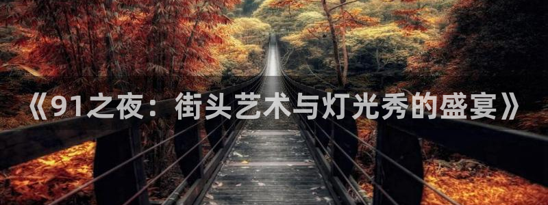 178体育直播平台：《91之夜：街头艺术与灯光秀的盛宴》