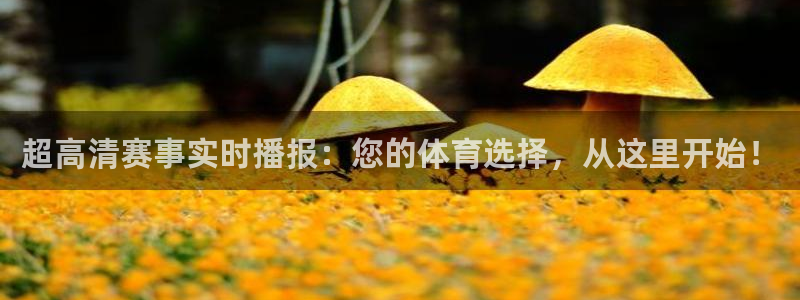 178直播高清免费足球直播：超高清赛事实时播报：您的体育选择，从这里开始！