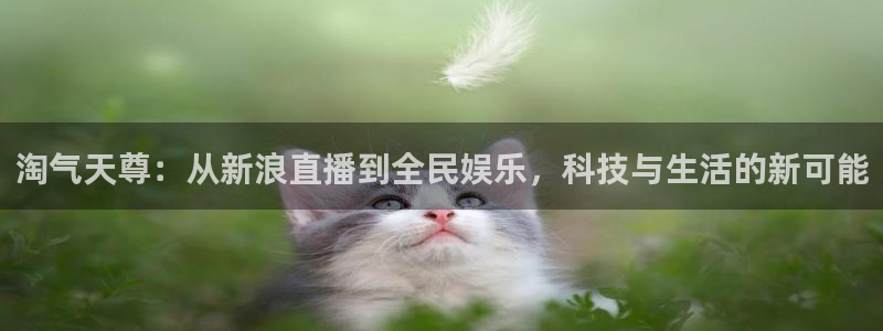 免费体育直播178：淘气天尊：从新浪直播到全民娱乐，科技与生活的新可能